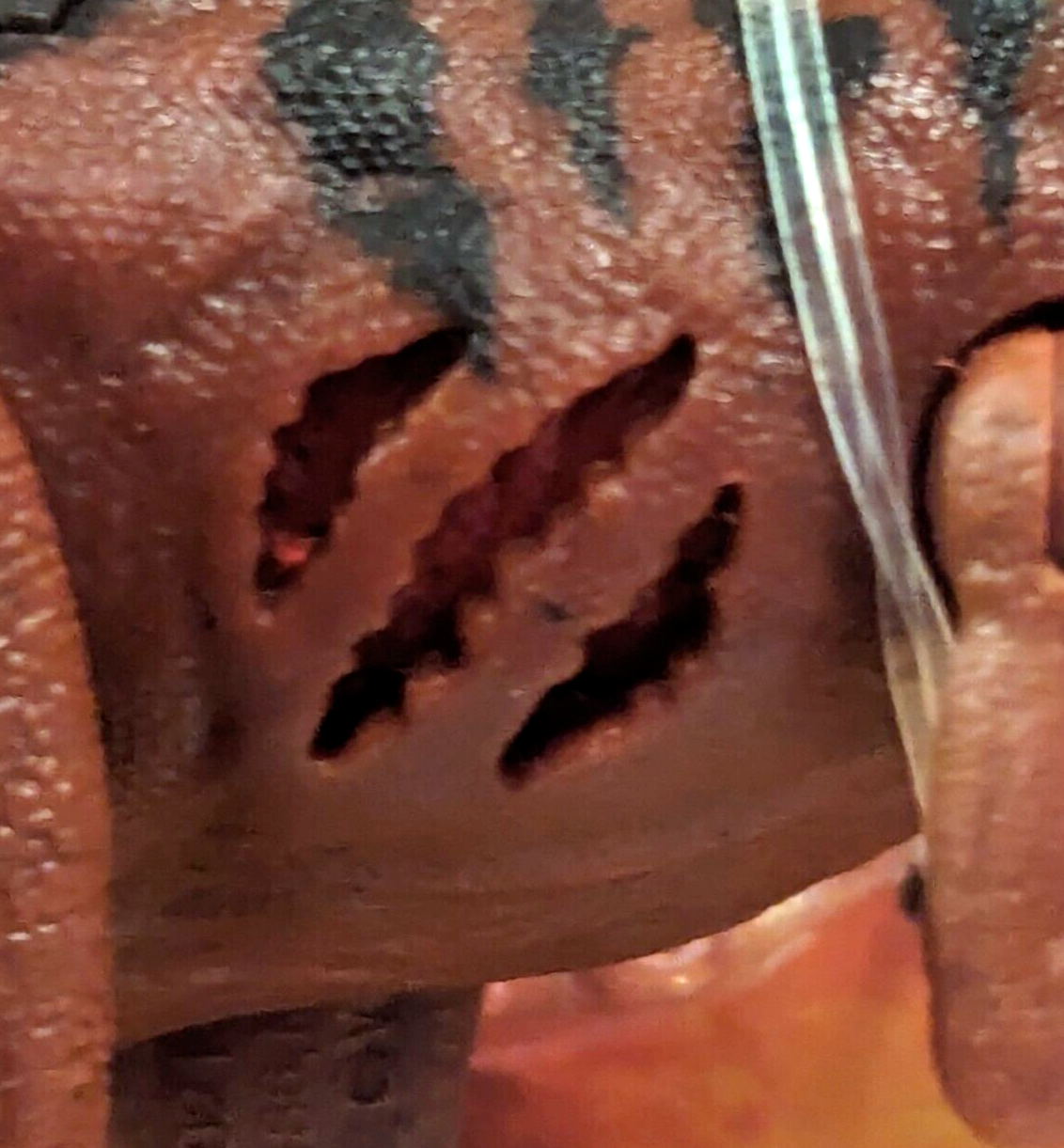 Jurassic World Dominion Extreme Damage Dinosaur Atrociraptor Tiger